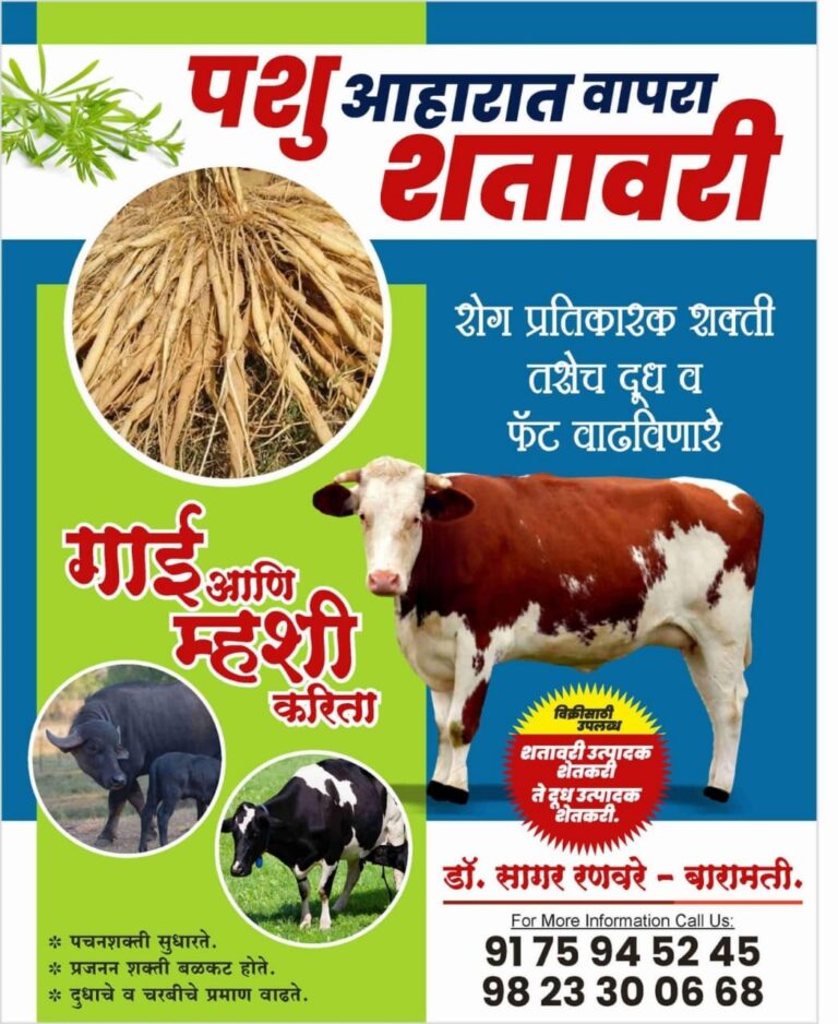 Read more about the article पशु अमृत ( pashu amrut)